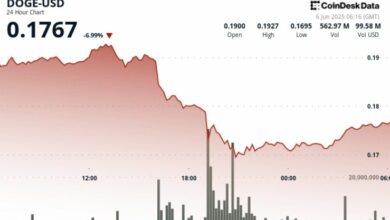 "دوجكوين تهبط بنسبة 12٪ وسط جدل ترامب وماسك – اكتشف التفاصيل الآن!"