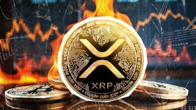 "XRP على وشك حرق 14 مليون عملة: تفاصيل مثيرة لا تفوتها!"