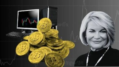 "السيناتور لوميس تدفع لتشديد الضرائب على العملات الرقمية في مشروع قانون الحزب الجمهوري – تعرف على التفاصيل!"