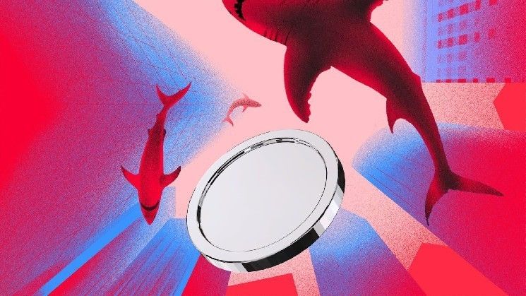 7 علامات خفية للسوق الهابطة يلتقطها المتداولون الأذكياء مبكرًا – اكتشفها الآن!