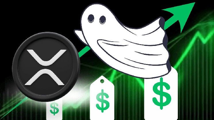 "مؤسس ريبل آرثر بريتو يكسر صمته بعد 13 عامًا – هل إكس آر بي مستعد لصعود قوي؟ اكتشف الآن!"