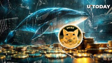 "تزايد تدفقات حيتان Shiba Inu بنسبة 6,306% إلى أعلى مستوى في 6 أشهر.. ما الذي يحدث؟ اكتشف التفاصيل الآن!"