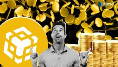 ما هو برنامج حوافز الأصول الواقعية (RWA) على سلسلة BNB؟ اكتشف التفاصيل الآن!