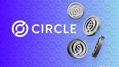 "مُصدر USDC شركة Circle تشهد ارتفاعًا كبيرًا بعد بدء شركة وول ستريت التغطية بتقييم شراء – تعرف على التفاصيل الآن!"