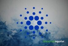 "الحيتان تجمع 120 مليون ADA بينما يستعد كاردانو للانطلاق - تعرف على التفاصيل الآن!"