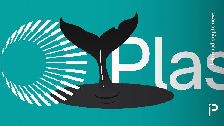 "الحيتان تهيمن على إطلاق بلازما: اكتشف التفاصيل الآن!"