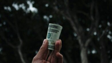 "شركة بيتكوين تريجوري كورب ترفع حيازاتها إلى 771 BTC وتخطط للإقراض بعد شراء بقيمة 51 مليون دولار"