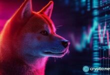 سعر شيبا إينو يستعد للانطلاق مع شراء الحيتان وانهيار مؤشر MVRV – تعرف على التفاصيل الآن!