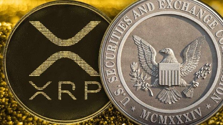 "رئيس ريبل يتراجع خطوة في دعوى هيئة الأوراق المالية – خبراء: صناديق XRP الاستثمارية الآن في طريق واضح للموافقة! اكتشف التفاصيل"