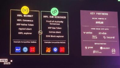 سلسلة XRP الجانبية المتوافقة مع إيثريوم تنطلق في الربع الثاني من 2024 – تعرف على التفاصيل الآن!