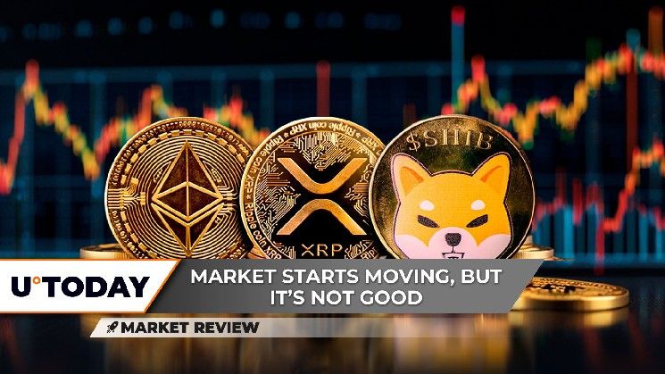 "هل سيضاف صفر جديد لـ Shiba Inu (SHIB)؟ 3 اختبارات حاسمة لـ XRP حدثت للتو، هل يتجه Ethereum (ETH) نحو تقاطع ذهبي؟ اكتشف الآن!"