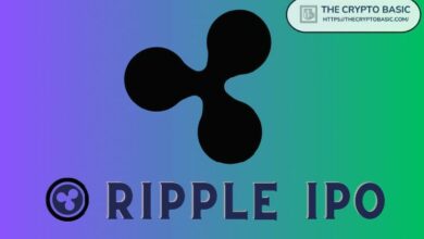 "مدير ريبل السابق يتوقع قيمة الشركة في حال طرحها للاكتتاب العام - اكتشف التوقعات الآن!"