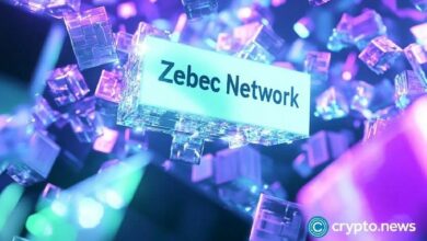 "لماذا ينهار سعر توكن Zebec Network؟ اكتشف الأسباب الآن!"