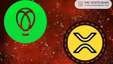 "أكبر بورصة أمريكية تكشف: حاملو XRP بقيمة 50,000 دولار مؤهلون لهذا الإيردروب – اكتشف التفاصيل الآن!"