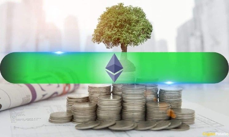 مستثمر مبكر في الإيثريوم يستيقظ: استثمار 620 دولار يتحول إلى 5 ملايين دولار - اكتشف القصة الكاملة الآن!