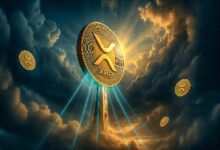 عدد حاملي XRP يتضاعف تقريبًا في ستة أشهر ويتجاوز سولانا