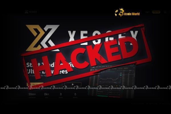 انهيار منصة XeggeX المأساوي: درس حاسم في أمان العملات الرقمية – تعرف على التفاصيل الآن!