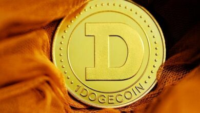 تراكم صامت لـ Dogecoin: نموذج القاع المزدوح يشير إلى تحرك صاروخي نحو 0.47 دولار