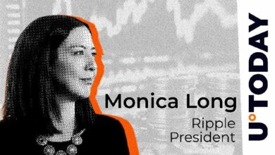 "رئيس ريبل يكسر الصمت حول التحول الكبير في زخم الابتكار بالعملات الرقمية – تعرف على التفاصيل الآن!"