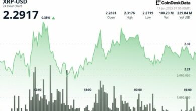 "XRP يتركز حول 2.28 دولار مع سلسلة انتصارات لـ Ripple وXRPL – تعرف على التفاصيل الآن!"
