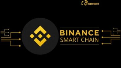 "مؤسسة BSC تعزز النظام البيئي بشراء استراتيجي للعملات الرقمية – اكتشف التفاصيل الآن!"