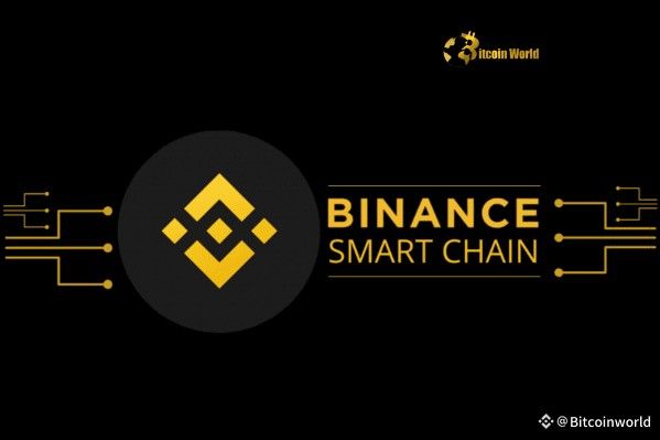 "مؤسسة BSC تعزز النظام البيئي بشراء استراتيجي للعملات الرقمية – اكتشف التفاصيل الآن!"