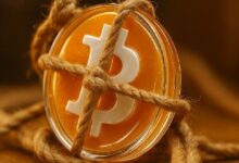 "بتكوين نوتس تُشغّل الآن 12% من الشبكة في تحدٍ صارخ ضد كور – اكتشف التفاصيل!"