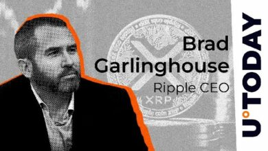 **"أخبار عاجلة: رئيس Ripple ينفي شائعات الاستحواذ على Circle – اكتشف التفاصيل الآن!"**