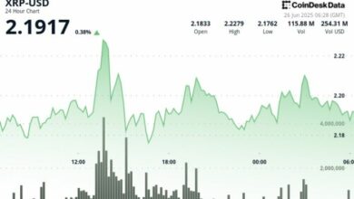 "عمليات البحث عن ‘XRP إلى 3 دولارات’ تزداد مع ارتفاع نشاط الحيتان في العملة – تعرف على التفاصيل الآن!"