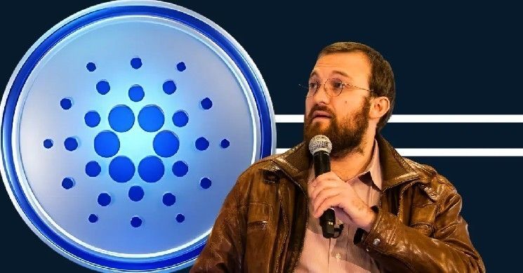 تشارلز هوسكينسون يعلن عن توزيع مجاني لـ ADA مع اقتراب إطلاق بروتوكول ميدنايت