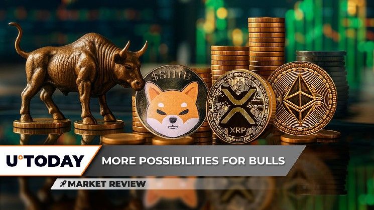 "شيبا إينو (SHIB): مفاجأة غير متوقعة، XRP أخيرًا مستعد للانطلاق، إيثريوم (ETH): عودة صاروخية – اكتشف التفاصيل الآن!"