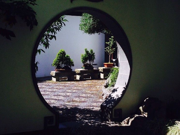 "Coinbase تفتح أبواب فرص التمويل اللامركزي (DeFi) لحاملي XRP و Dogecoin على شبكة Base – اكتشف المزيد الآن!"