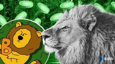 "تعرف على BUILDon: أسد التشفير الذي يبني نظام DeFi حقيقي على سلسلة BNB"