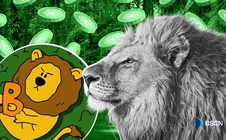 "تعرف على BUILDon: أسد التشفير الذي يبني نظام DeFi حقيقي على سلسلة BNB"