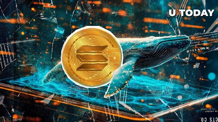 "تحويل 106,313,218 دولار من سولانا (SOL) في عملية واحدة – ماذا حدث؟ اكتشف التفاصيل الآن!"