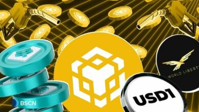 سلسلة BNB تتصدر نشاط العملات المستقرة مع تمديد التحويلات بدون رسوم غاز – اكتشف التفاصيل الآن!