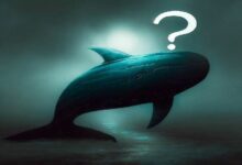 عملاق العملات البديلة يفوت فرصة ربح 42.64 مليون دولار – اشترى عند القمة وباع عند القاع! اكتشف الصفقات التي أجراها الآن