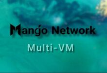 هل يكفي نهج Mango متعدد الآلات الافتراضية لحل مشكلة السيولة المجزأة؟ اكتشف الإجابة الآن!