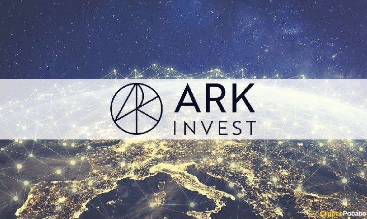 "كاثي وود تقود Ark Invest لاستثمار كبير في شركة ستابلكوين! اكتشف التفاصيل الآن"