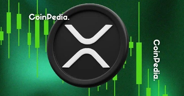 "ريبل لا تتحكم في XRP؟ جون ديتون يؤكد: إنها شبكة لا مركزية – اكتشف التفاصيل الآن!"