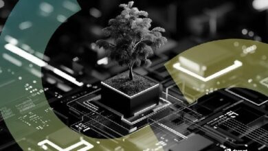 إصلاح التمويل الرقمي قد يضيف مليارات إلى اقتصاد أستراليا.. دراسة جديدة تكشف التفاصيل