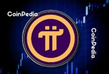 "مؤسس شبكة بي يتهم بـ'المحتال' بعد دفاعه عن انهيار السعر.. كيف رد؟"