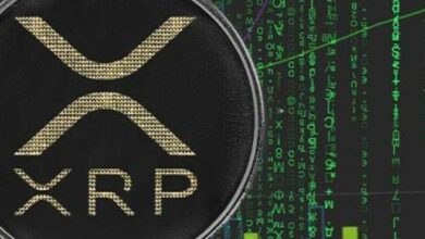 "XRP تشهد حدثًا غير مسبوق في تاريخها – بيانات غير عادية تظهر الآن (تعرف على التفاصيل!)"