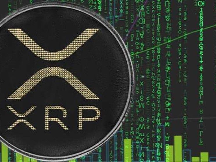 "XRP تشهد حدثًا غير مسبوق في تاريخها – بيانات غير عادية تظهر الآن (تعرف على التفاصيل!)"