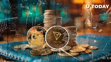 هل سيتفوق ترون على دوجكوين؟ إليك الاحتمالات واكتشف بنفسك!