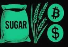 "شركة Davis Commodities تطلق توكنيز السكر والأرز في صفقة بقيمة 30 مليون دولار – 40% مخصصة للبيتكوين! اكتشف التفاصيل الآن"