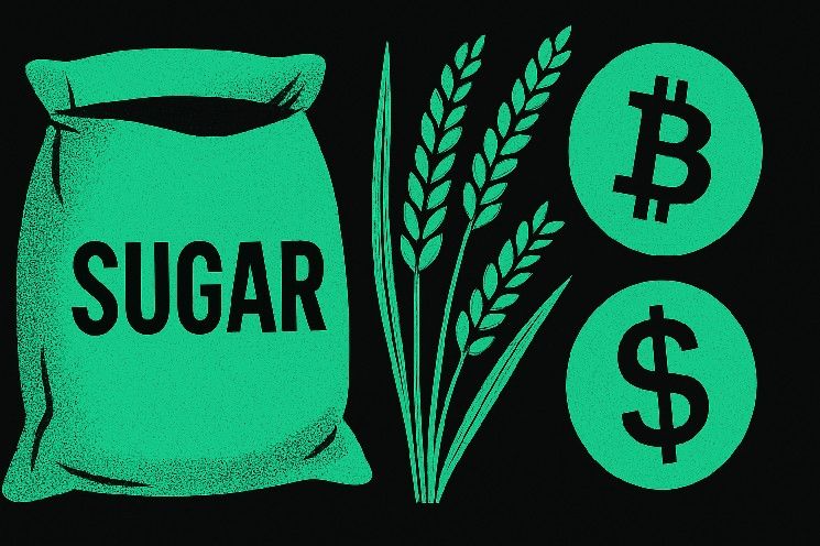 "شركة Davis Commodities تطلق توكنيز السكر والأرز في صفقة بقيمة 30 مليون دولار – 40% مخصصة للبيتكوين! اكتشف التفاصيل الآن"