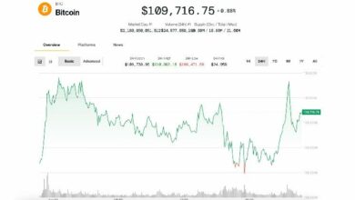 "بتكوين يرتفع إلى 110 ألف دولار مع صعود العملات البديلة.. هل يستمر الارتفاع؟ اكتشف التفاصيل الآن!"