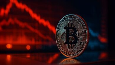 "مضاربو البيتكوين الصاعدون يجب أن يحموا دعمًا رئيسيًا عند 95.6 ألف دولار مع استفادة الحائزين القدامى من المكاسب – تعرف على التفاصيل الآن!"