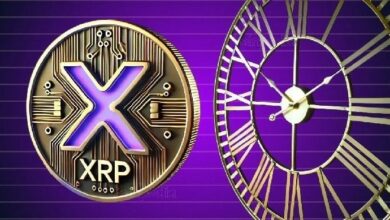 هل يمكن أن يصل سعر XRP إلى 10 دولارات؟ اكتشف الإجابة الآن!